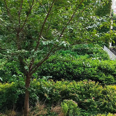 Komfortowe Mieszkanie Centrum * Βρότσλαβ