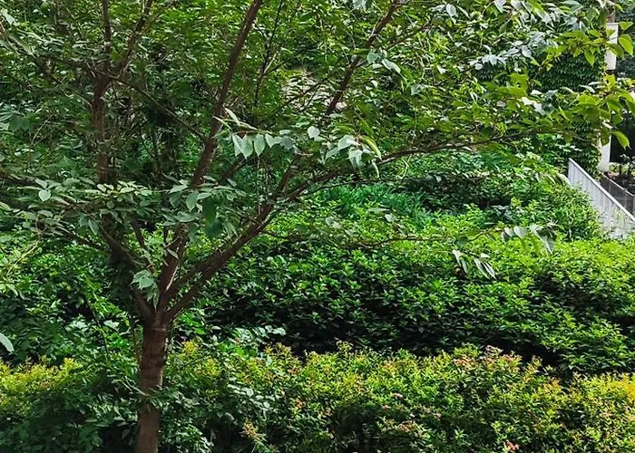 Komfortowe Mieszkanie Centrum * Wrocław